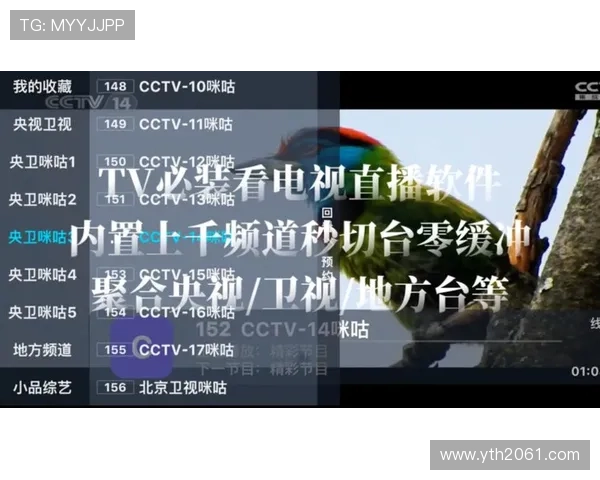 电视直播搜索功能全新上线，海量频道随心看